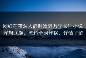 网红在夜深人静时遭遇万里长征小说 浮想联翩，黑料全网炸锅，详情了解