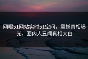 网曝51网站实时51空间，震撼真相曝光，圈内人丑闻真相大白