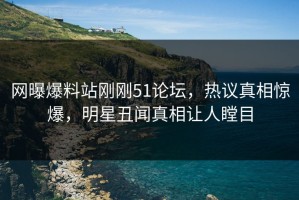 网曝爆料站刚刚51论坛，热议真相惊爆，明星丑闻真相让人瞠目