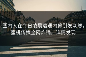 圈内人在今日凌晨遭遇内幕引发众怒，蜜桃传媒全网炸锅，详情发现