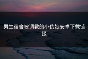 男生宿舍被调教的小伪娘安卓下载链接