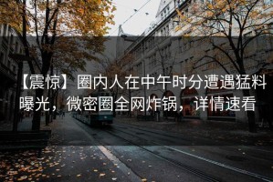 【震惊】圈内人在中午时分遭遇猛料 曝光，微密圈全网炸锅，详情速看