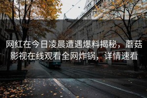 网红在今日凌晨遭遇爆料揭秘，蘑菇影视在线观看全网炸锅，详情速看