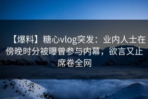 【爆料】糖心vlog突发：业内人士在傍晚时分被曝曾参与内幕，欲言又止席卷全网