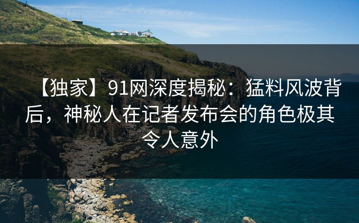 【独家】91网深度揭秘：猛料风波背后，神秘人在记者发布会的角色极其令人意外