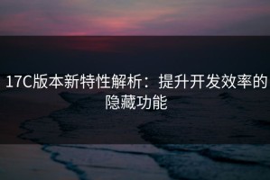 17C版本新特性解析：提升开发效率的隐藏功能