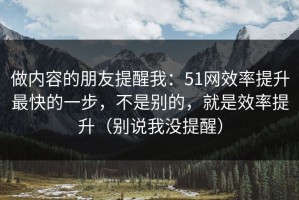 做内容的朋友提醒我：51网效率提升最快的一步，不是别的，就是效率提升（别说我没提醒）