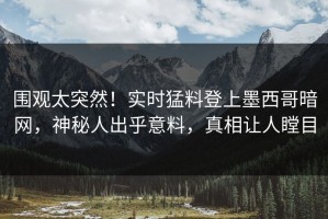 围观太突然！实时猛料登上墨西哥暗网，神秘人出乎意料，真相让人瞠目
