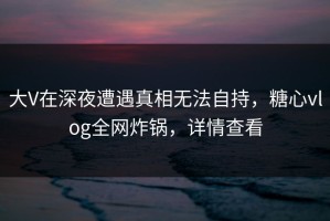 大V在深夜遭遇真相无法自持，糖心vlog全网炸锅，详情查看