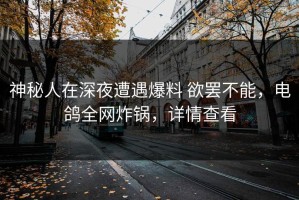 神秘人在深夜遭遇爆料 欲罢不能，电鸽全网炸锅，详情查看