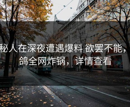 神秘人在深夜遭遇爆料 欲罢不能，电鸽全网炸锅，详情查看