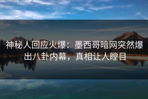 神秘人回应火爆：墨西哥暗网突然爆出八卦内幕，真相让人瞠目