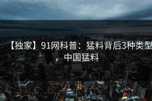【独家】91网科普：猛料背后3种类型，中国猛料