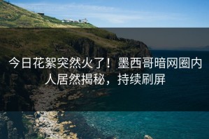 今日花絮突然火了！墨西哥暗网圈内人居然揭秘，持续刷屏