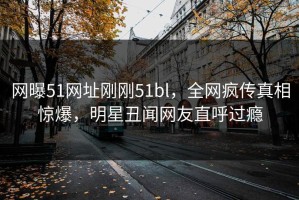 网曝51网址刚刚51bl，全网疯传真相惊爆，明星丑闻网友直呼过瘾