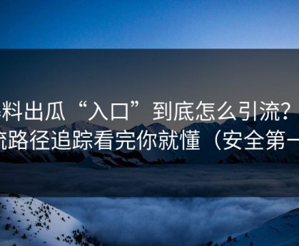 爆料出瓜“入口”到底怎么引流？引流路径追踪看完你就懂（安全第一）