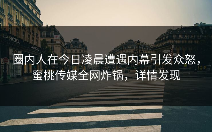 圈内人在今日凌晨遭遇内幕引发众怒，蜜桃传媒全网炸锅，详情发现