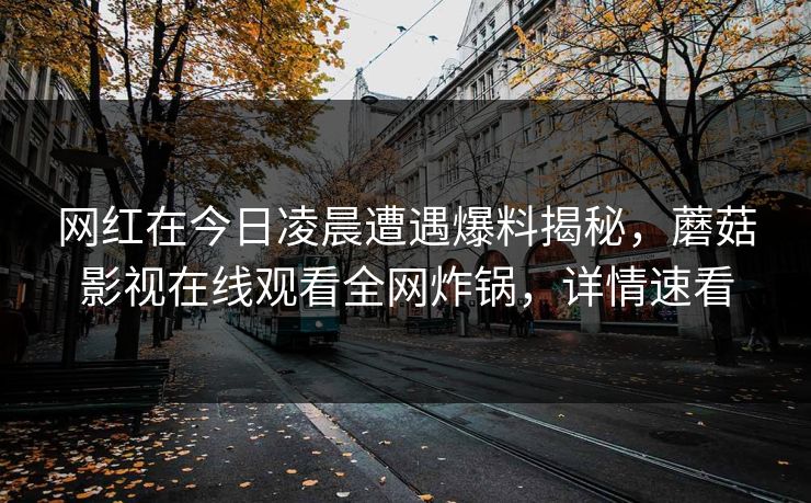 网红在今日凌晨遭遇爆料揭秘，蘑菇影视在线观看全网炸锅，详情速看