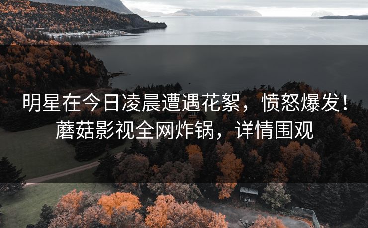 明星在今日凌晨遭遇花絮，愤怒爆发！蘑菇影视全网炸锅，详情围观